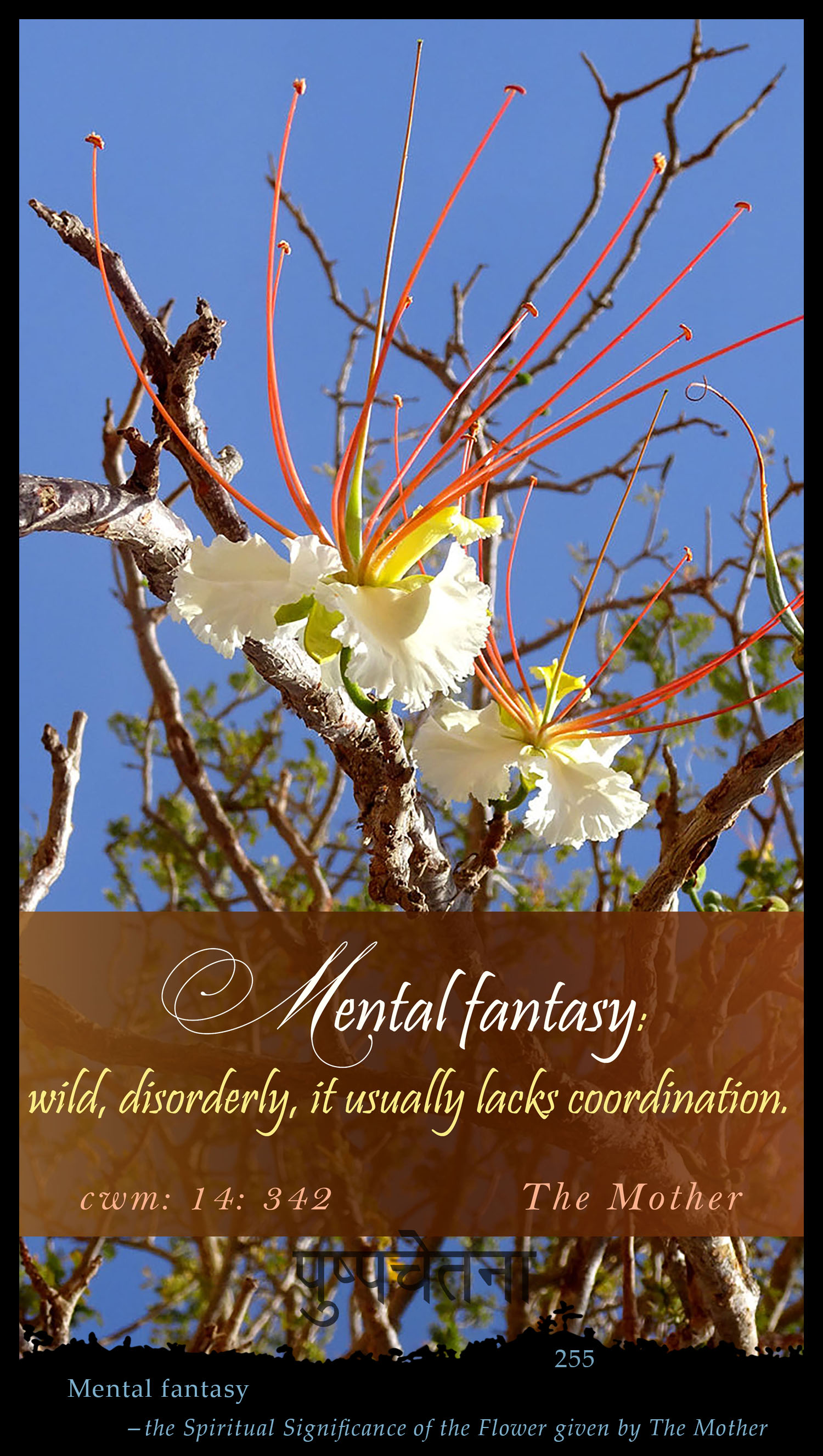 Mental Fantasy